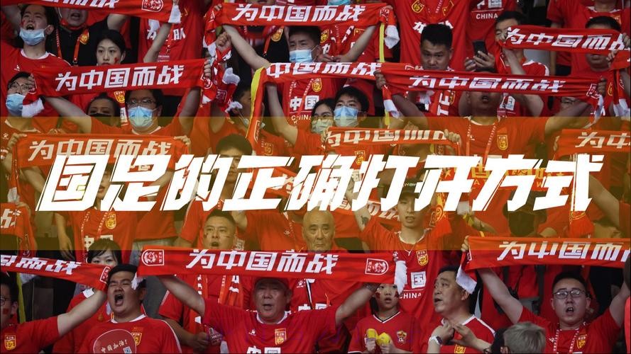 推进国家足球队改革发展